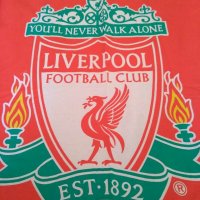 FC Liverpool,Daniel Agger,спален комплект, снимка 2 - Фен артикули - 29287830