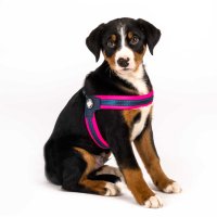 Нов розов нагръдник за куче Max Molly XL, снимка 1 - За кучета - 40307817