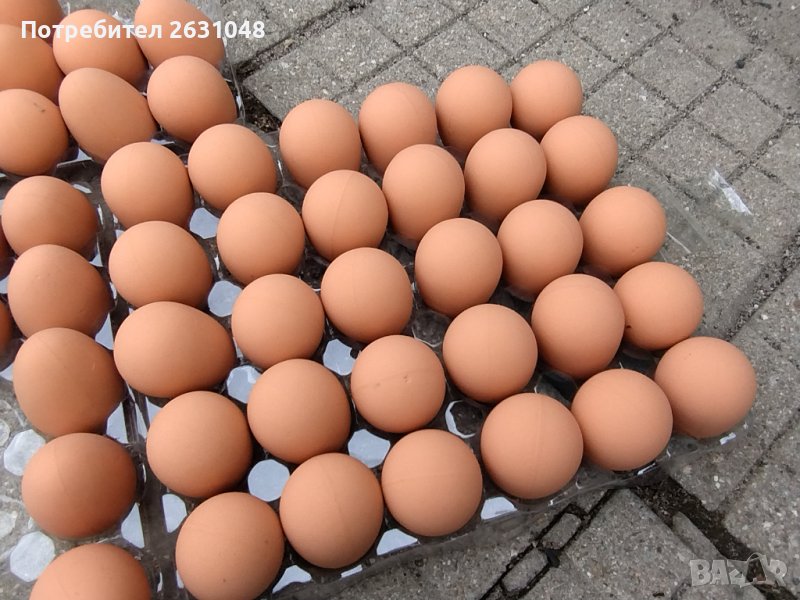 Изкуствени пластмасови яйца за кокошки тежки, снимка 1