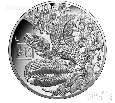 колекционерска сребърна монета  лунар змия 2025, снимка 1