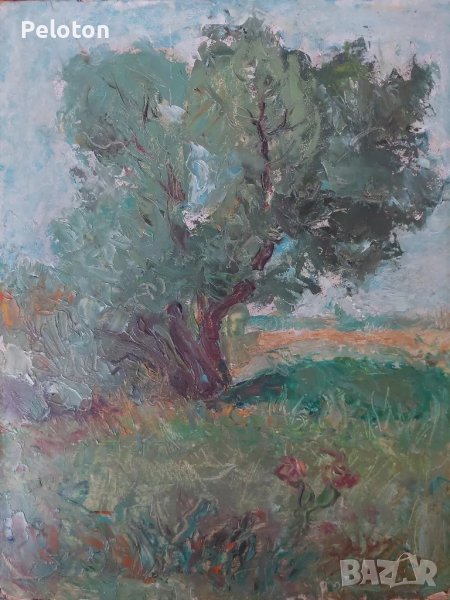 ":пейзаж "неизвестен автор , снимка 1