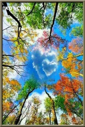 Диамантен гоблен с дървета 20/30 см, снимка 1