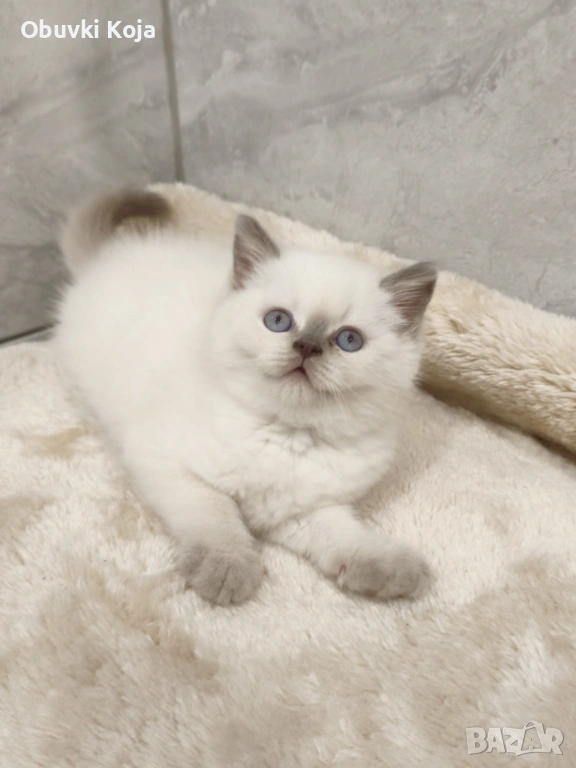 Не е красив просто е уникален последното момченце, снимка 1