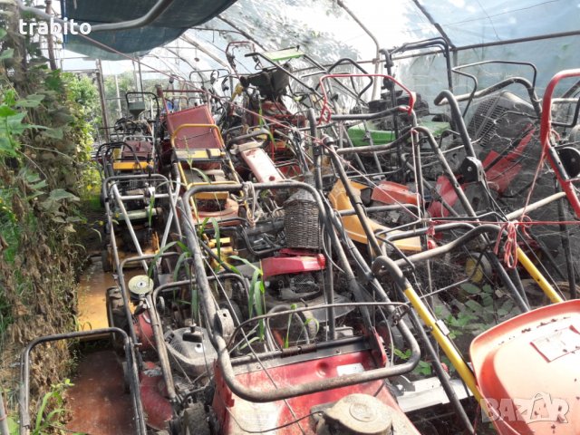 Косачки на едро 