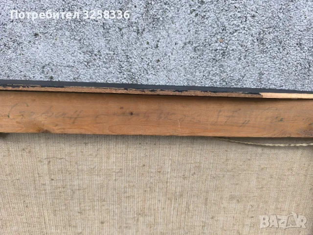 Картина проф. Стефан Алтъков , снимка 6 - Картини - 49830601