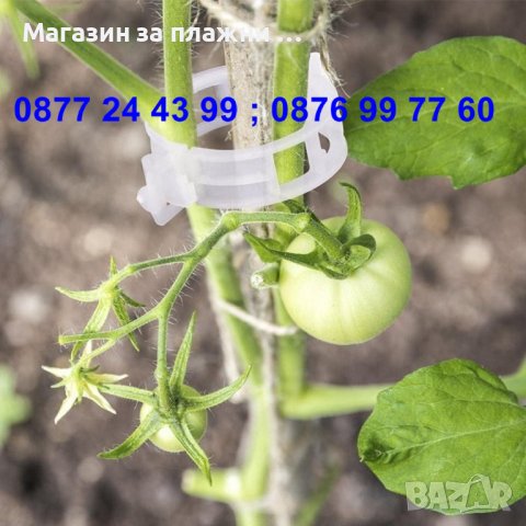 к-т 50 бройки щипка - клипс за подържане на домати и растения - КОД 3691, снимка 4 - Разсади - 36674946