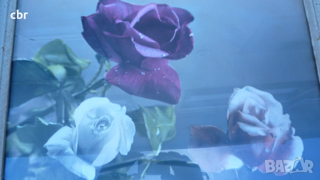 Картина с рози българска, снимка 2 - Картини - 51486279