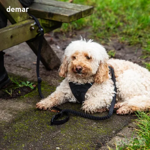 Mikki Doodles Многофункционален повод за кучета, 1,45 метра дължина, 2,5 см ширина на лентата, снимка 4 - За кучета - 49687328