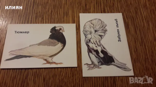 Стари календарчета 15лв за всички , снимка 3 - Колекции - 48228292