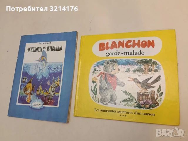 Blanchon garde-malade 