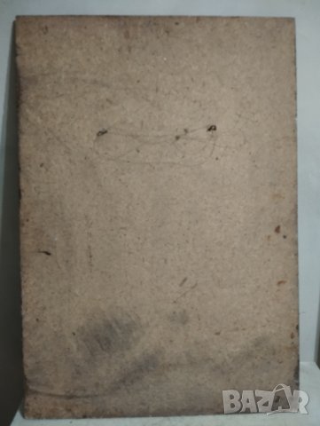 картина куче, снимка 6 - Картини - 44253040