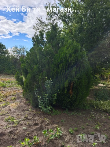 Къща и вила , снимка 7 - Къщи - 50507251