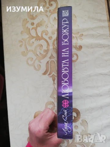 ЛЮБОВТА НА БОЖУР / Снежно цвете и тайното ветрило - Лиза Сий , снимка 3 - Художествена литература - 37888796