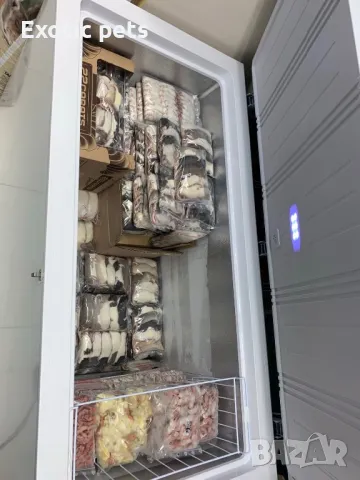 Замразени мишки и плъхове. , снимка 2 - Други стоки за животни - 49745984