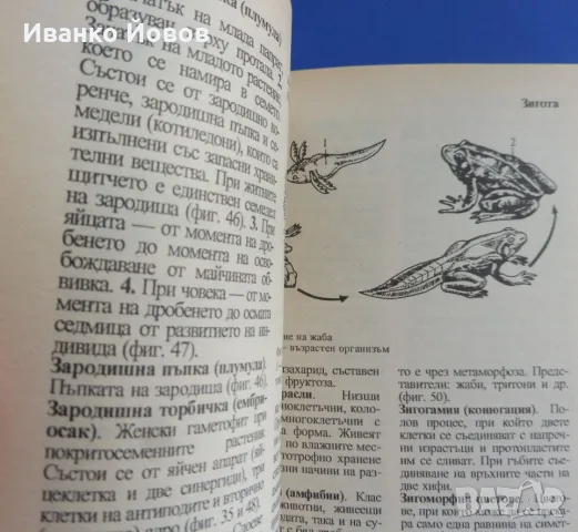 Илюстрован речник по биология, Иван Москов, Снежана Томова, снимка 7 - Учебници, учебни тетрадки - 55748707