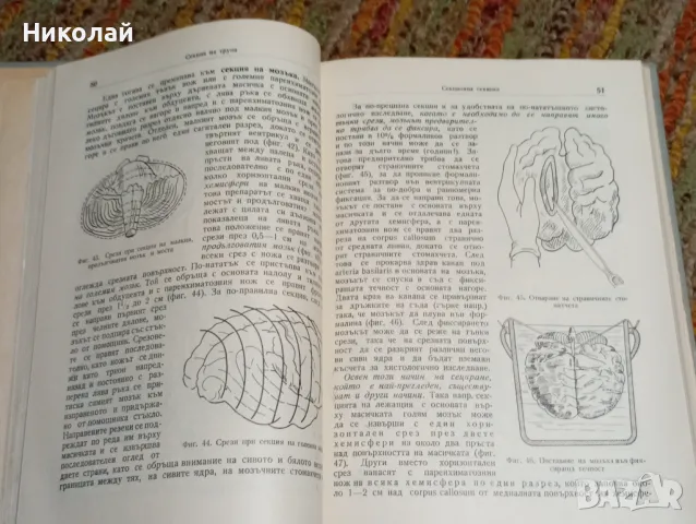 Практическо ръководство по патологична анатомия, снимка 7 - Специализирана литература - 47939659