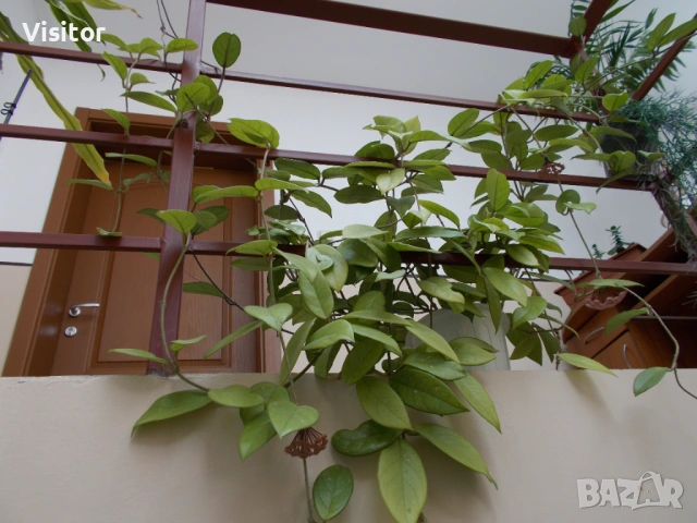 фотоапарат Nikon CoolPix L27  - 16MPx, снимка 18 - Фотоапарати - 54254749