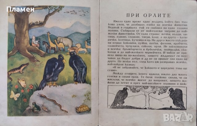 При орлите Елена Консулова-Вазова, снимка 3 - Детски книжки - 44493515