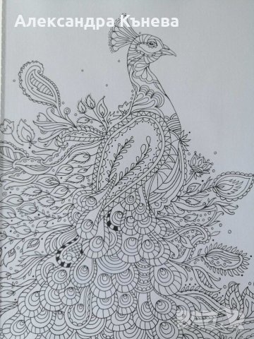 Книжка за оцветяване с фантастични елементи и релаксираща музика , снимка 3 - Други - 30018262