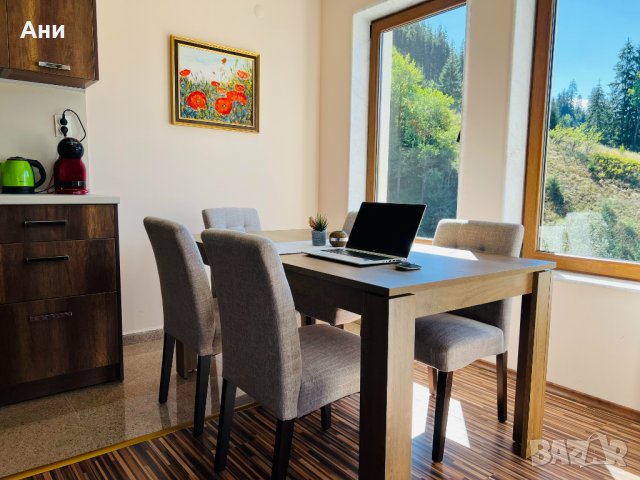 Апартамент за гости "При Ани" гр. Чепеларе, снимка 7 - Апартаменти - 37151013