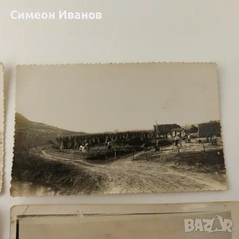 Стари снимки отглеждане на коноп гръсници гръсти   В0149  , снимка 5 - Други ценни предмети - 48694603