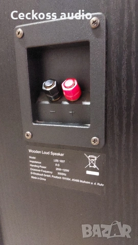 🔥 ТОП ОФЕРТА 🔥 Двулентови тонколони Wooden Loud Speaker LSS 1007 – 110€, снимка 7 - Тонколони - 54192528