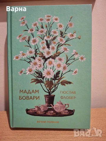 Книги, Мадам Бовари и Малки жени