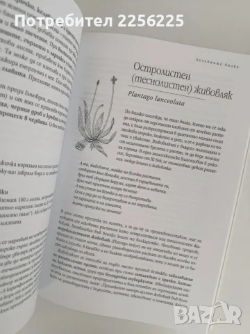 Здраве от аптеката на Господ, снимка 6 - Специализирана литература - 56070583