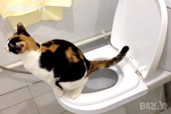 Да научим котката да ходи в човешката тоалетна! котешка коте, снимка 5 - За котки - 29790017
