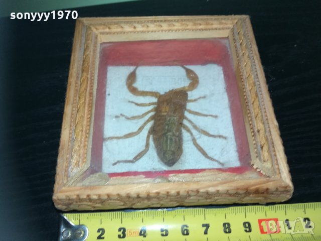 скорпион-внос france 1910201740, снимка 6 - Колекции - 30478693