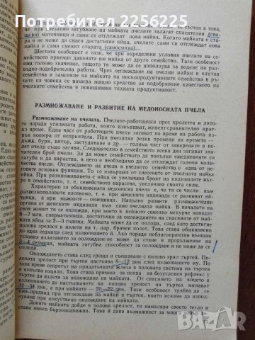 Пчеларство , снимка 2 - Специализирана литература - 50984131