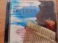 PAN PIPE аудио дискове с панфлейта, снимка 1