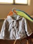  Детски дрехи за възраст 6 - 9 месеца, снимка 1 - Други - 30255979
