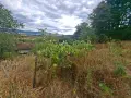 Продава се парцел (УПИ) във вилна зона Чeканица, гр. Ботевград - 1017 кв.м, снимка 5