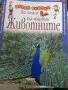 Детски книжки и списания , снимка 5