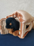 Плюшена играчка куче с къщичка, снимка 1 - Плюшени играчки - 36547417