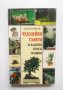 Книга Чудодейни съвети за балкони, тераси, градини - Ан-Мари Пейсон 1998 г., снимка 1 - Други - 31807775