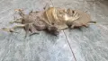 Бронзова Африканска маска, снимка 2