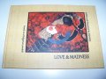 "Love and Madness" книга на художничката Занара, снимка 1