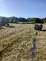 бали сено и слама, снимка 2