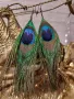 Обеци с пера от паун, снимка 2