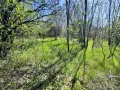 Парцел 557 кв.м. в Казанлък Вилна Зона ”Старите лозя” зад Художествената Гимназия, снимка 6