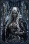 Колода Таро "The she-wolf", снимка 7