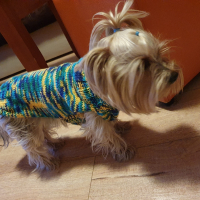 Плетени дрешки за кучета М размер, снимка 6 - За кучета - 44590339