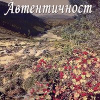 Дийдра Маден - Автентичност (2009), снимка 1 - Художествена литература - 20751645