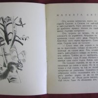 Стара Детска Книжка- Малката Катеричка, снимка 3 - Детски книжки - 42108266