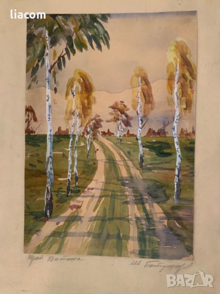 ИВАН БОТУШАРОВ акварел, снимка 1