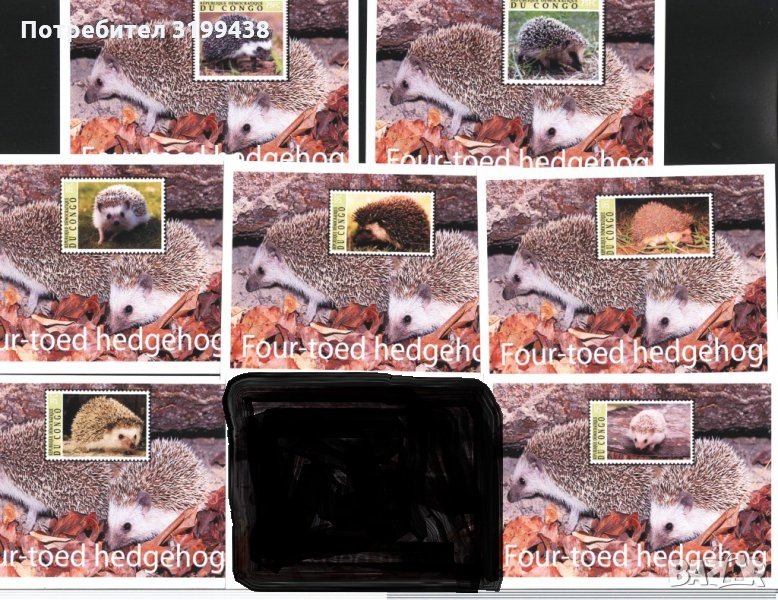 Чисти блокове неперфорирани Фауна Таралежи 2001 от Конго (Киншаса) , снимка 1