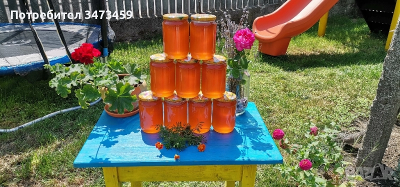 Био пчелен мед от производител , снимка 1