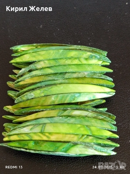 Дамска гривна от седеф с доминиращ зелен цвят уникално красива 51341, снимка 1